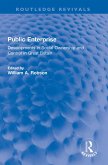 Public Enterprise (eBook, ePUB)