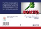 Inflammation during Stem Cell Therapy in Diabetes Mellitus