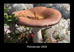 Pilzkalender 2022 Fotokalender DIN A3 - Tobias Becker