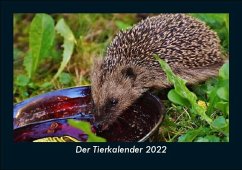 Der Tierkalender 2022 Fotokalender DIN A5 - Tobias Becker