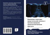 Izmenenie struktury predstatel'noj zhelezy i progressirowanie hronicheskoj bolezni prostaty