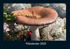 Pilzkalender 2022 Fotokalender DIN A4 - Tobias Becker