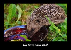 Der Tierkalender 2022 Fotokalender DIN A3 - Tobias Becker