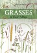 Grasses of East Africa (eBook, ePUB) - Bild 1