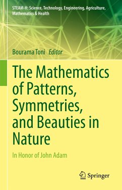 The Mathematics of Patterns, Symmetries, and Beauties in Nature (eBook, PDF)