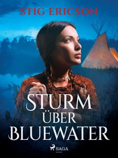 Sturm über Bluewater (eBook, ePUB) - Ericson, Stig