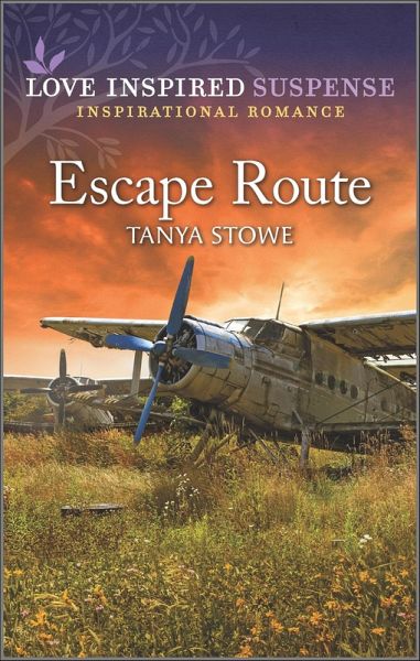 Escape Route (eBook, ePUB)