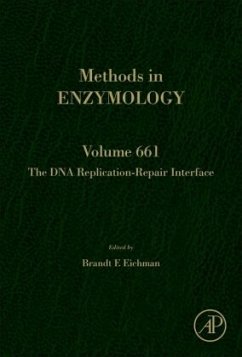 The DNA Replication-Repair Interface