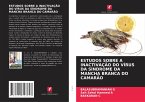 ESTUDOS SOBRE A INACTIVAÇÃO DO VÍRUS DA SÍNDROME DA MANCHA BRANCA DO CAMARÃO