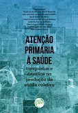 Atenção primária à saúde (eBook, ePUB)