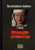 Schauerliteratur - 1. Band (eBook, ePUB)