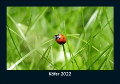 Käfer 2022 Fotokalender DIN A5 - Tobias Becker