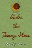 Under the Bronze Moon (eBook, ePUB)