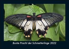 Bunte Pracht der Schmetterlinge 2022 Fotokalender DIN A5 - Tobias Becker