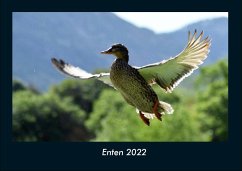 Enten 2022 Fotokalender DIN A4 - Tobias Becker