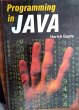 Programming In Java (eBook, ePUB) - Bild 1