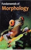 Fundamentals Of Morphology (eBook, ePUB) Fundamentals Of Morphology (eBook, ePUB)