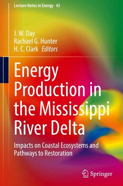 Energy Production in the Mississippi River Delta