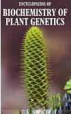 Encyclopaedia of Biochemistry of Plant Genetics Volume II (eBook, ePUB) Encyclopaedia of Biochemistry of Plant Genetics Volume II (eBook, ePUB)