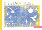 Die Stadttaube