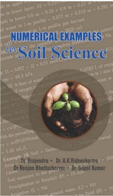 Numerical Examples In Soil Science (eBook, ePUB) - Brajendra; Bhattacharyya, Ranjan