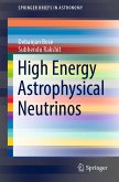 High Energy Astrophysical Neutrinos (eBook, PDF)