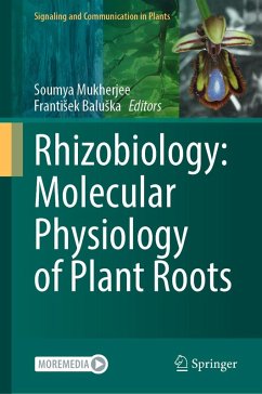 Cover Rhizobiology: Molecular Physiology of Plant Roots (eBook, PDF)