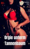 Orgie unterm Tannenbaum (eBook, ePUB)