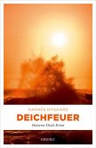 Deichfeuer (eBook, ePUB)
