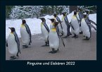 Pinguine und Eisbären 2022 Fotokalender DIN A5