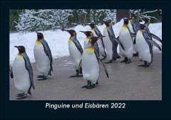 Pinguine und Eisbären 2022 Fotokalender DIN A5 - Tobias Becker