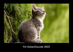 Für Katzenfreunde 2022 Fotokalender DIN A3 - Tobias Becker