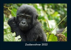 Zoobewohner 2022 Fotokalender DIN A4 - Tobias Becker