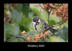 Waldtiere 2022 Fotokalender DIN A3 - Tobias Becker