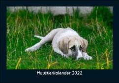 Haustierkalender 2022 Fotokalender DIN A5 - Tobias Becker