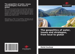 The geopolitics of water, issues and strategies, from local to global - Soufargi, Mehdi