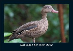 Das Leben der Enten 2022 Fotokalender DIN A5 - Tobias Becker