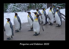 Pinguine und Eisbären 2022 Fotokalender DIN A3 - Tobias Becker