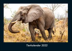 Tierkalender 2022 Fotokalender DIN A4 - Tobias Becker