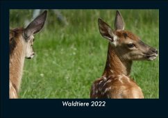 Waldtiere 2022 Fotokalender DIN A5 - Tobias Becker