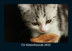 Für Katzenfreunde 2022 Fotokalender DIN A5