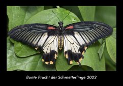 Bunte Pracht der Schmetterlinge 2022 Fotokalender DIN A3 - Tobias Becker