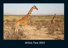 Afrikas Tiere 2022 Fotokalender DIN A4 - Tobias Becker