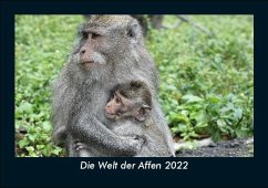 Die Welt der Affen 2022 Fotokalender DIN A5 - Tobias Becker