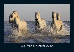 Die Welt der Pferde 2022 Fotokalender DIN A5 - Tobias Becker