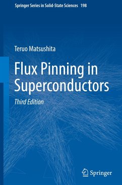 Flux Pinning in Superconductors - Matsushita, Teruo