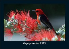 Vogelparadies 2022 Fotokalender DIN A5 - Tobias Becker