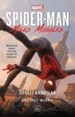Spider-man Öfkeli Kanatla