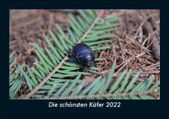Die schönsten Käfer 2022 Fotokalender DIN A5 - Tobias Becker