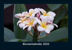 Blumenkalender 2022 Fotokalender DIN A5 - Tobias Becker